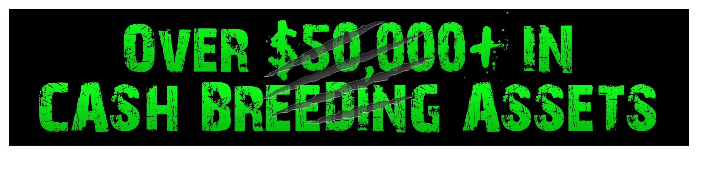 OVER $50,000+ IN CASH BREEDING ASSETS ARE YOURS FOR THE TAKING...